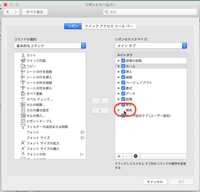 メインタブの開発にチェックを入れる